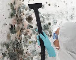 Best Environmental Consulting for Mold Prevention  in Brownlee Park, MI